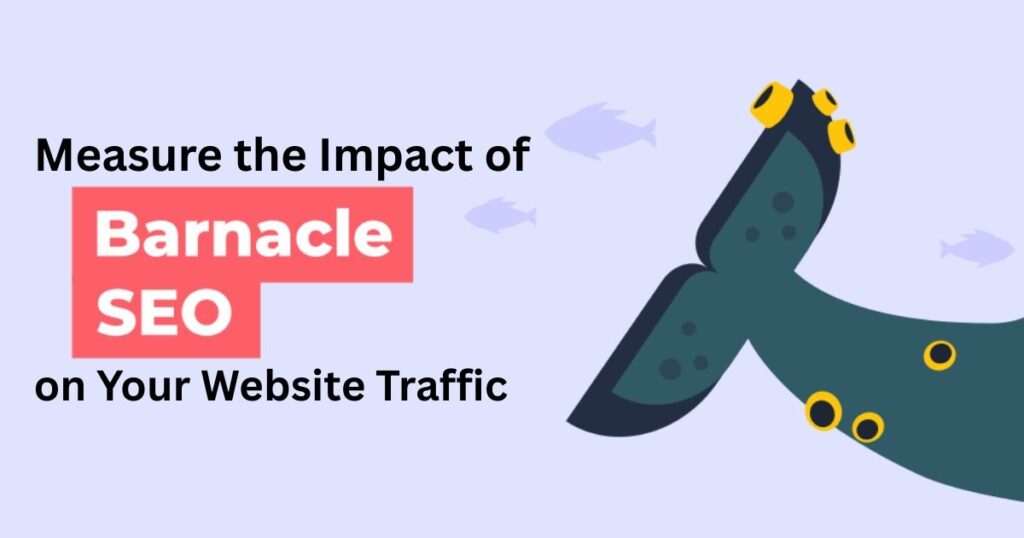 Measure the Impact of Barnacle SEO on Your Website Traffic